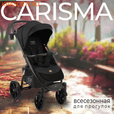   SWEET BABY CARISMA (,  1)